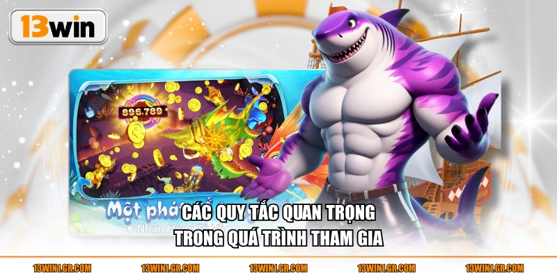Các quy tắc quan trọng trong quá trình tham gia