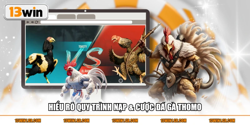 Hiểu rõ quy trình nạp & cược đá gà Thomo