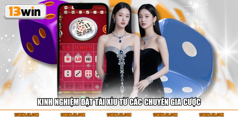 Kinh nghiệm đặt tài xỉu từ các chuyên gia cược