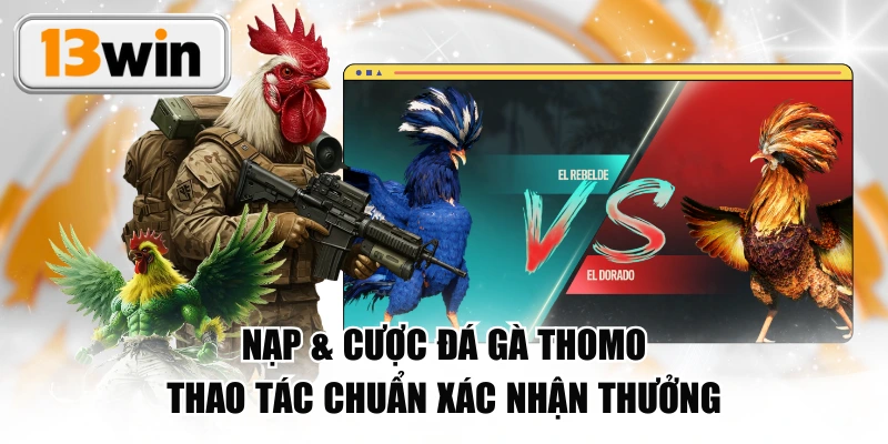 Nạp & cược đá gà Thomo