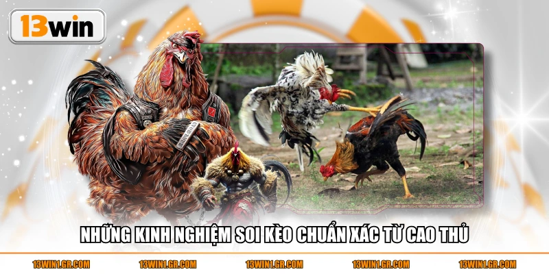 Những kinh nghiệm soi kèo chuẩn xác từ cao thủ