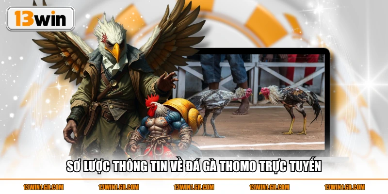 Sơ lược thông tin về đá gà Thomo trực tuyến