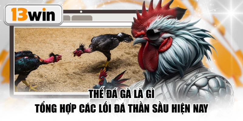 Thế Đá Gà Là Gì