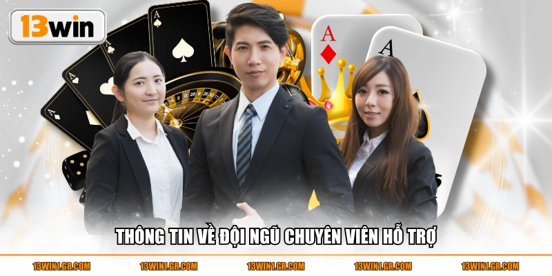 Thông tin về đội ngũ chuyên viên hỗ trợ