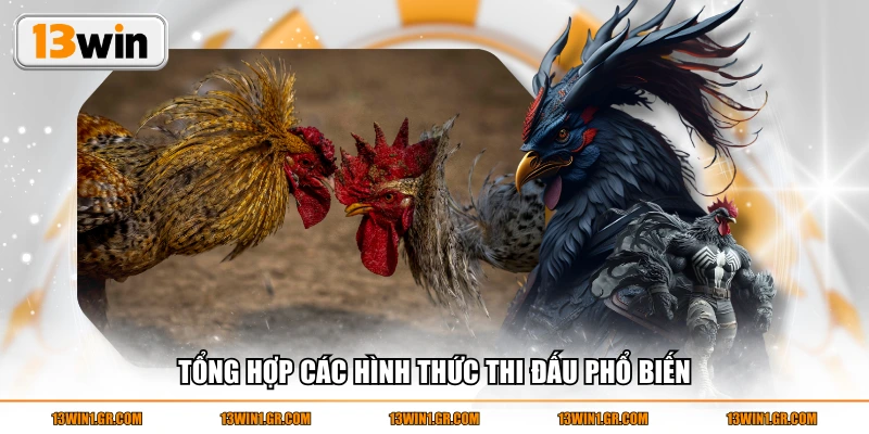 Tổng hợp các hình thức thi đấu phổ biến