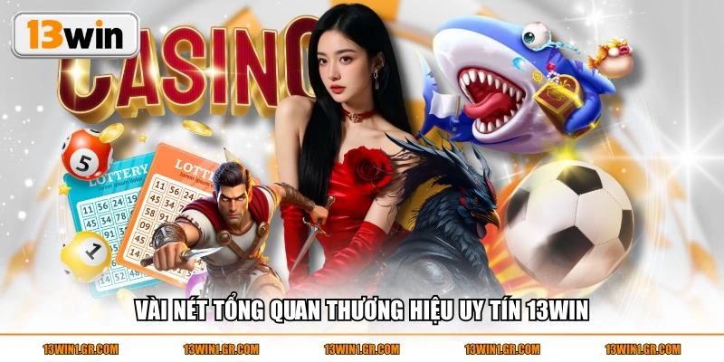 Vài nét tổng quan thương hiệu uy tín 13WIN